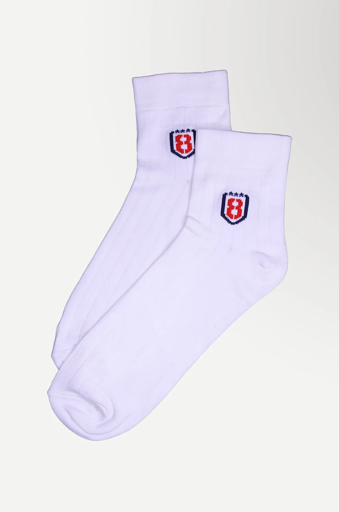 Nylon High Ankle Socks Set- White